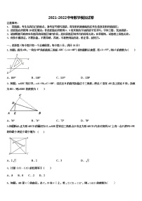 2021-2022学年安徽合肥市蜀山区文博中学中考二模数学试题含解析