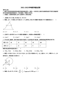 2021-2022学年北京市北京昌平临川育人校中考四模数学试题含解析