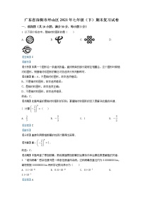 广东省深圳市坪山区2020-2021年七年级下学期期末数学试题（试卷）