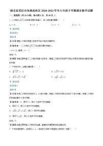 湖北省武汉市东湖高新区2020-2021学年八年级下学期期末数学试题（试卷+解析）