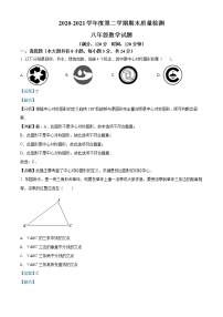 山东省青岛市青岛大学附属中学2020-2021学年八年级下学期期末数学试题（试卷+解析）