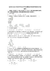 2022年四川省宜宾市中考真题数学卷及答案（文字版）