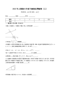 2022年人教版七年级数学下册期末押题卷（三）（原卷+解析）