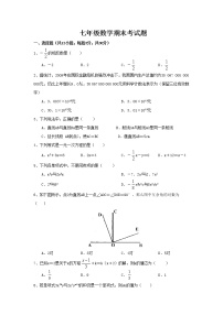 初一数学上册期末试题