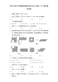 2021-2022学年湖南省株洲市渌口区七年级（下）期中数学试卷（含解析）