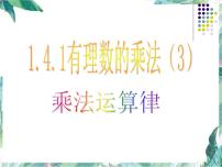 人教版七年级上册1.2.1 有理数教课内容ppt课件