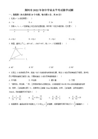 2022年湖北省荆州市中考数学真题(word版含答案)