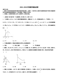 2021-2022学年广东省深圳市石厦校中考数学模试卷含解析