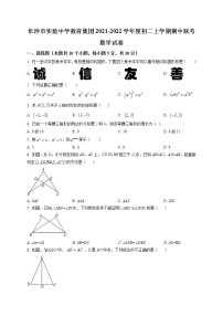 长沙市实验中学2021-2022学年八年级上学期期中数学试题及参考答案