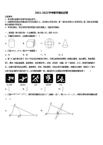 2021-2022学年黑龙江省大庆市龙凤区重点达标名校中考冲刺卷数学试题含解析