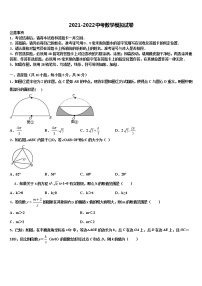 2021-2022学年湖南省邵阳市市级名校中考数学押题卷含解析