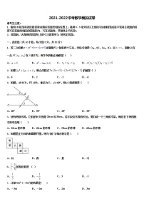 2021-2022学年湖北省襄阳市枣阳市徐寨中学中考一模数学试题含解析