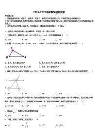 2021-2022学年江苏省句容市二中学片区合作共同体达标名校中考数学模试卷含解析