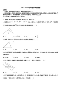 四川省乐山市实验中学2022年中考数学试卷含解析