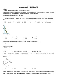 2021-2022学年湖南省长沙市望城区达标名校中考猜题数学试卷含解析