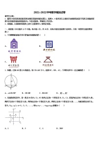 2021-2022学年湖南省常德市桃源县市级名校初中数学毕业考试模拟冲刺卷含解析