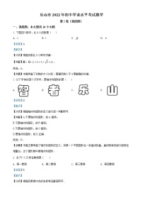 2022年四川省乐山市中考真题数学卷及答案（文字版）