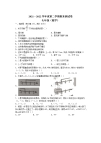 河南省商丘市永城市2021-2022学年七年级下学期期末数学试题（含答案）