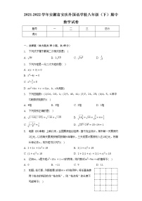 2021-2022学年安徽省安庆外国语学校八年级（下）期中数学试卷（含解析）