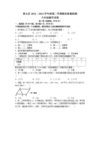 湖北省武汉市青山区2021-2022学年八年级下学期期末数学试题(无答案)