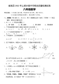 湖南省怀化市新晃县2021-2022学年八年级下学期期末质量检测数学试题（乡镇）（含答案）