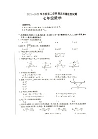 安徽省安庆市桐城市2021-2022学年七年级下学期期末质量检测数学试题（无答案）