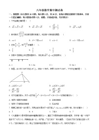 山东省东营市东营区实验中学2021-2022学年八年级下学期期中数学试题