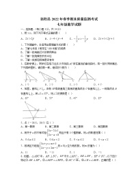 湖北省咸宁市崇阳县2021-2022学年七年级下学期期末数学试题（含答案）