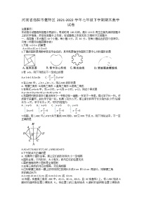 河南省洛阳市偃师区2021-2022学年七年级下学期期末数学试卷（无答案）