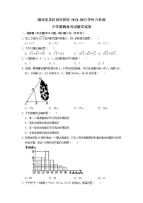 湖北省武汉市汉阳区2021-2022学年八年级下学期期末考试数学试卷（无答案）