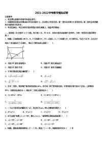 2021-2022学年辽宁省新宾县达标名校中考数学仿真试卷含解析