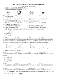 广东省河源市源城区2021-2022学年七年级下学期期末数学试题(无答案)