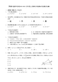 广东省深圳市罗湖外国语初中学校2021-2022学年七年级下学期期末考试数学试题(word版含答案)