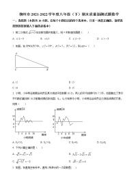 广西壮族自治区柳州市柳江中学2021-2022学年八年级下学期期末数学试题(word版含答案)