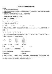 2021-2022学年江苏省泰州市泰兴实验中学中考数学模试卷含解析