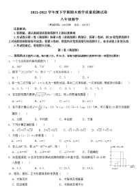 广西靖西市2021-2022学年八年级下学期期末教学质量检测数学试题 (word版含答案)