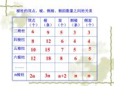 北师大版七年级上册数学课件  1.2.2柱体、锥体的展开与折叠