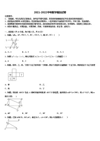 2021-2022学年上海市杨浦区重点中学中考猜题数学试卷含解析