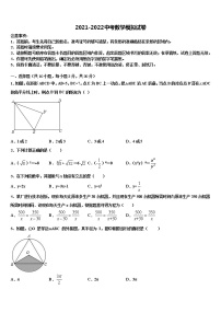 2021-2022学年上海市上海民办张江集团校中考数学考前最后一卷含解析