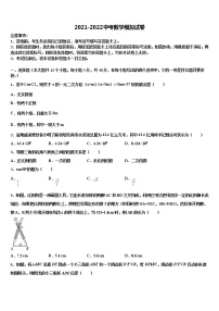 2021-2022学年新疆乌鲁木齐市沙依巴克区重点中学初中数学毕业考试模拟冲刺卷含解析