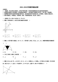 2021-2022学年新疆乌鲁木齐市中考数学适应性模拟试题含解析