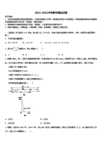 2021-2022学年浙江省嘉兴市桐乡中考数学押题试卷含解析