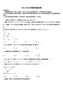 2021-2022学年浙江省丽水市莲都区重点达标名校中考数学考试模拟冲刺卷含解析