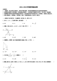 2021-2022学年浙江省绍兴市越城区袍江中学中考数学最后冲刺模拟试卷含解析