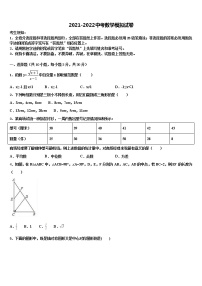 2021-2022学年山东省聊城市临清市中考数学模试卷含解析