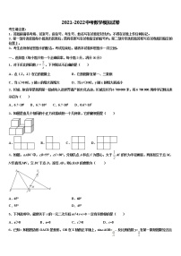 2022届安徽省蒙城县中考数学对点突破模拟试卷含解析