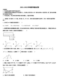 2022届鄂州市重点中学中考数学最后冲刺浓缩精华卷含解析