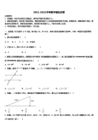 2022届广东省揭阳市空港区中考数学对点突破模拟试卷含解析