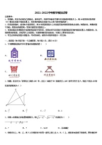 2022届广东省梅州市梅江区实验中学中考数学适应性模拟试题含解析