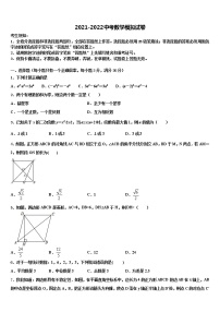 2022届广东省茂名市行知中学中考数学模拟预测试卷含解析